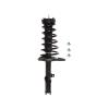 Strut Assembly - image 1