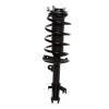 Strut Assembly - image 1