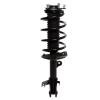 Strut Assembly - image 1