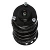 Strut Assembly - image 2