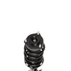 Strut Assembly - image 3