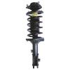 Strut Assembly - image 1