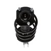 Strut Assembly - image 2