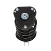 Strut Assembly - image 2