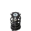 Strut Assembly - image 2