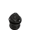 Strut Assembly - image 3