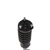 Strut Assembly - image 2