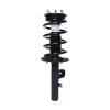 Strut Assembly - image 1