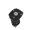 Strut Assembly - image 3