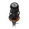 Strut Assembly - image 2