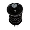 Strut Assembly - image 2