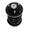 Strut Assembly - image 2