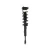 Strut Assembly - image 1