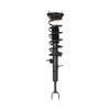 Strut Assembly - image 3