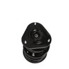 Strut Assembly - image 3