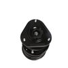 Strut Assembly - image 3