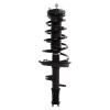 Strut Assembly - image 1