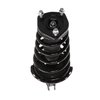 Strut Assembly - image 2