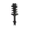 Strut Assembly - image 1