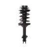 Strut Assembly - image 1