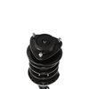 Strut Assembly - image 2