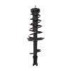 Strut Assembly - image 1