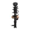 Strut Assembly - image 1