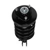 Strut Assembly - image 2
