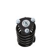 Strut Assembly - image 2