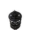 Strut Assembly - image 2