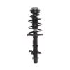 Strut Assembly - image 1