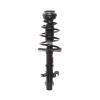 Strut Assembly - image 1