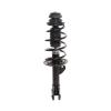 Strut Assembly - image 1