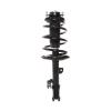 Strut Assembly - image 1