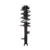 Strut Assembly - image 1