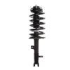 Strut Assembly - image 1