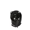 Strut Assembly - image 2