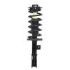Strut Assembly - image 1