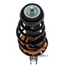 Strut Assembly - image 2