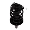 Strut Assembly - image 2