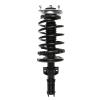 Strut Assembly - image 1