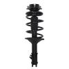 Strut Assembly - image 1