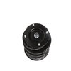 Strut Assembly - image 3