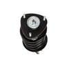 Strut Assembly - image 3