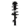 Strut Assembly - image 1