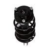 Strut Assembly - image 2