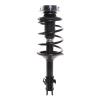 Strut Assembly - image 1