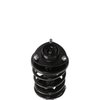 Strut Assembly - image 2