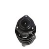 Strut Assembly - image 3