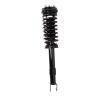 Strut Assembly - image 1